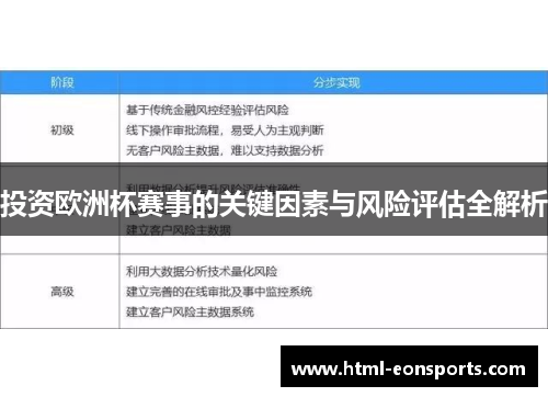 投资欧洲杯赛事的关键因素与风险评估全解析