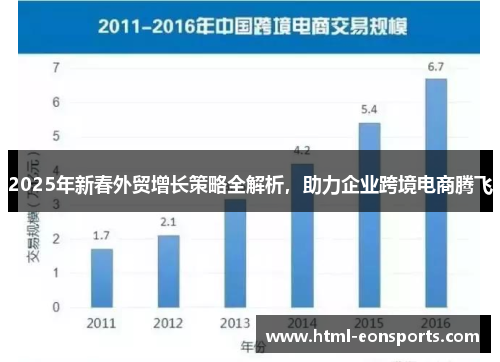 2025年新春外贸增长策略全解析，助力企业跨境电商腾飞