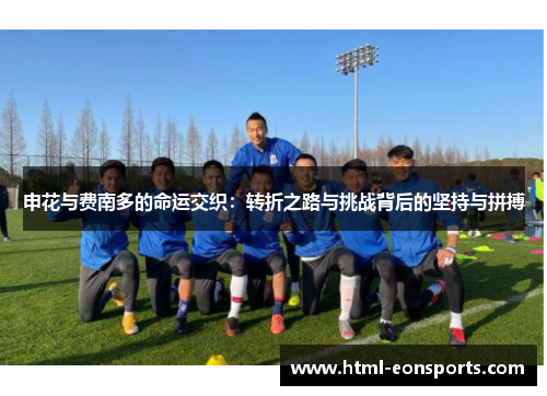 申花与费南多的命运交织：转折之路与挑战背后的坚持与拼搏