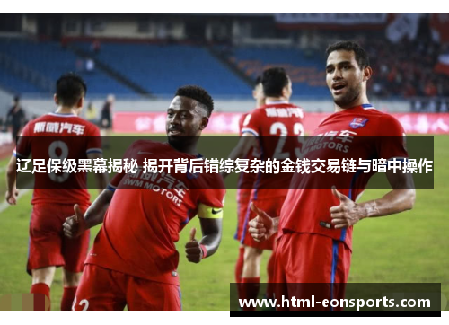 辽足保级黑幕揭秘 揭开背后错综复杂的金钱交易链与暗中操作